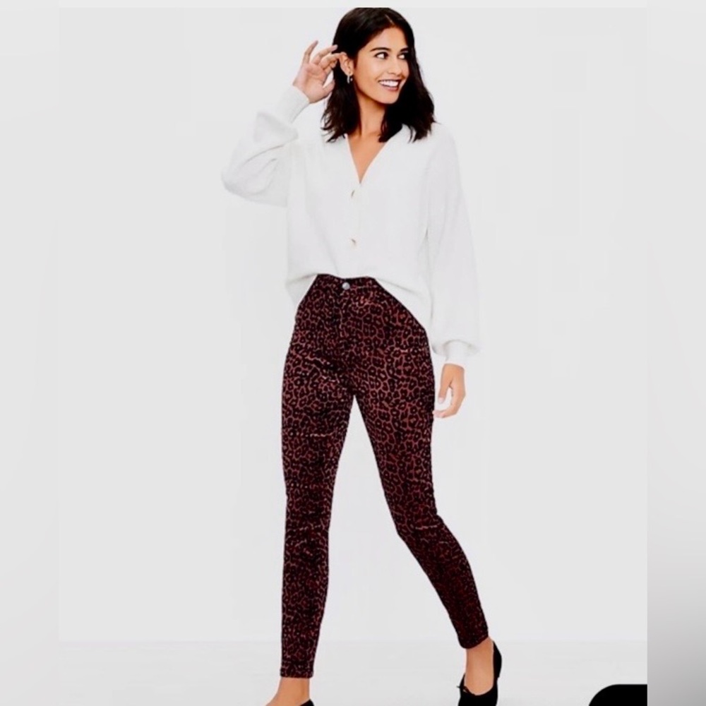LOFT Leopard Print Skinny Pants - Brown and Black 28/6 Petite